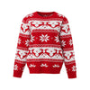 Pull en tricot pour femmes - Style saisonnier de Noël