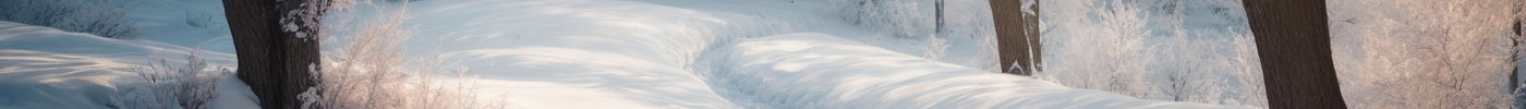 Winter Coming with Good Discounts