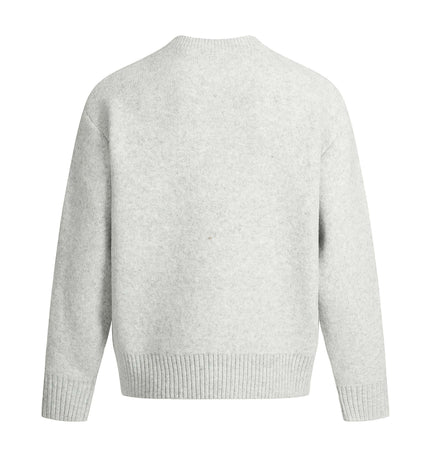 Back view of the Semi-High Neck Simple Knit Sweater in a soft gray color, showcasing its relaxed fit and cozy texture.