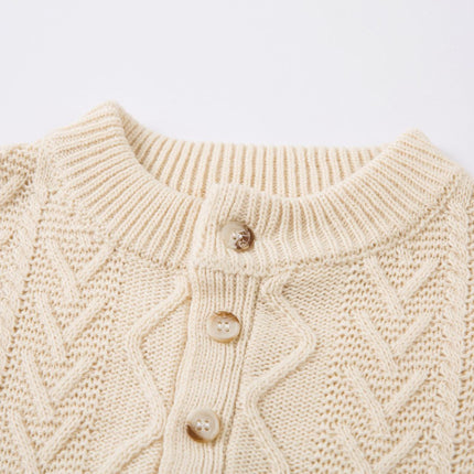 Loose Fit Knit Crewneck Sweater