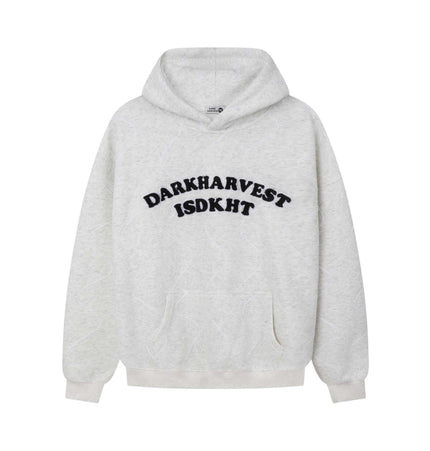 Embroidered Letter Hoodie – Loose Fit in light gray with bold lettering for stylish streetwear.