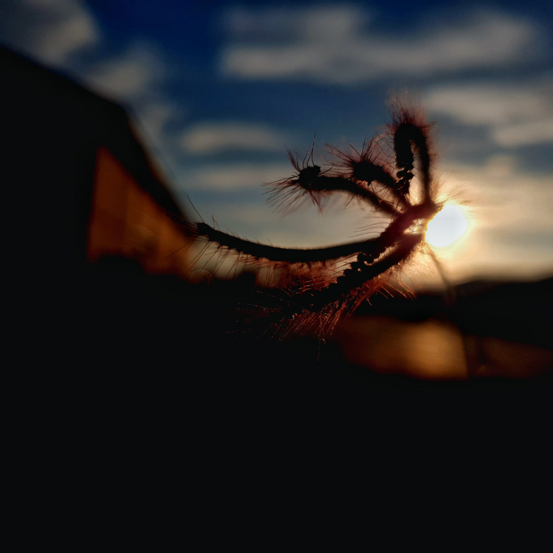 <h3>Confidence Looks Good on You</h3>