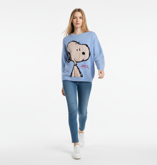 Retro Cartoon Jacquard Hoodie - Loose Fit