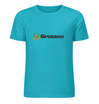 S / DarkTurquoise