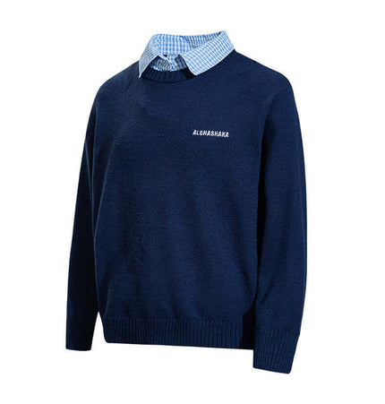 Faux Layered Knit Sweater with Collar featuring a blue shirt collar underneath for a polished, layered look.