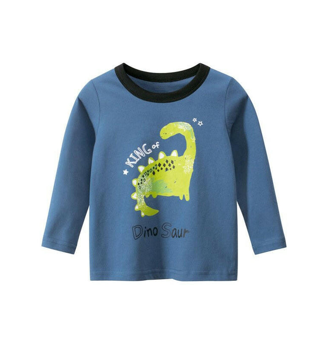 Boys Long Sleeve T-Shirt at €14.99